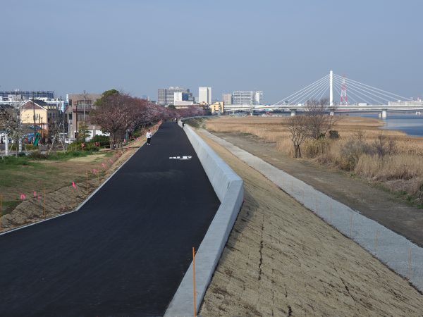 H28多摩川殿町高潮堤防