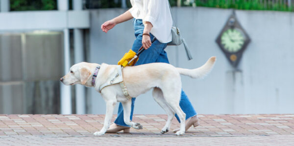 日本盲導犬協会への寄附
